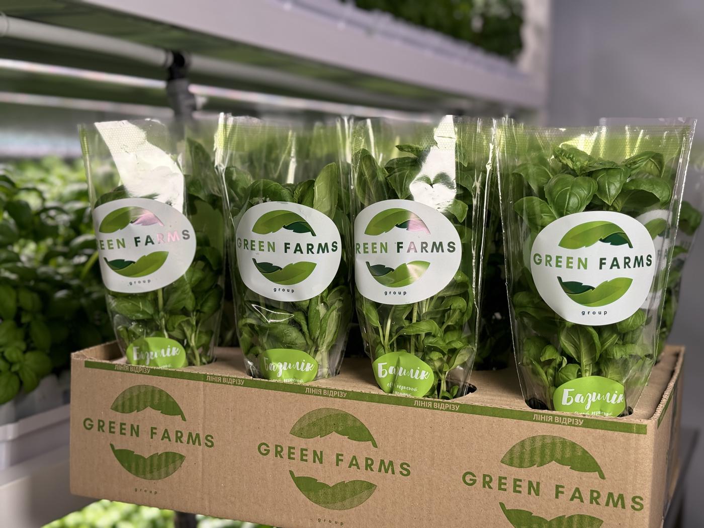 Пакований базилік Green Farms