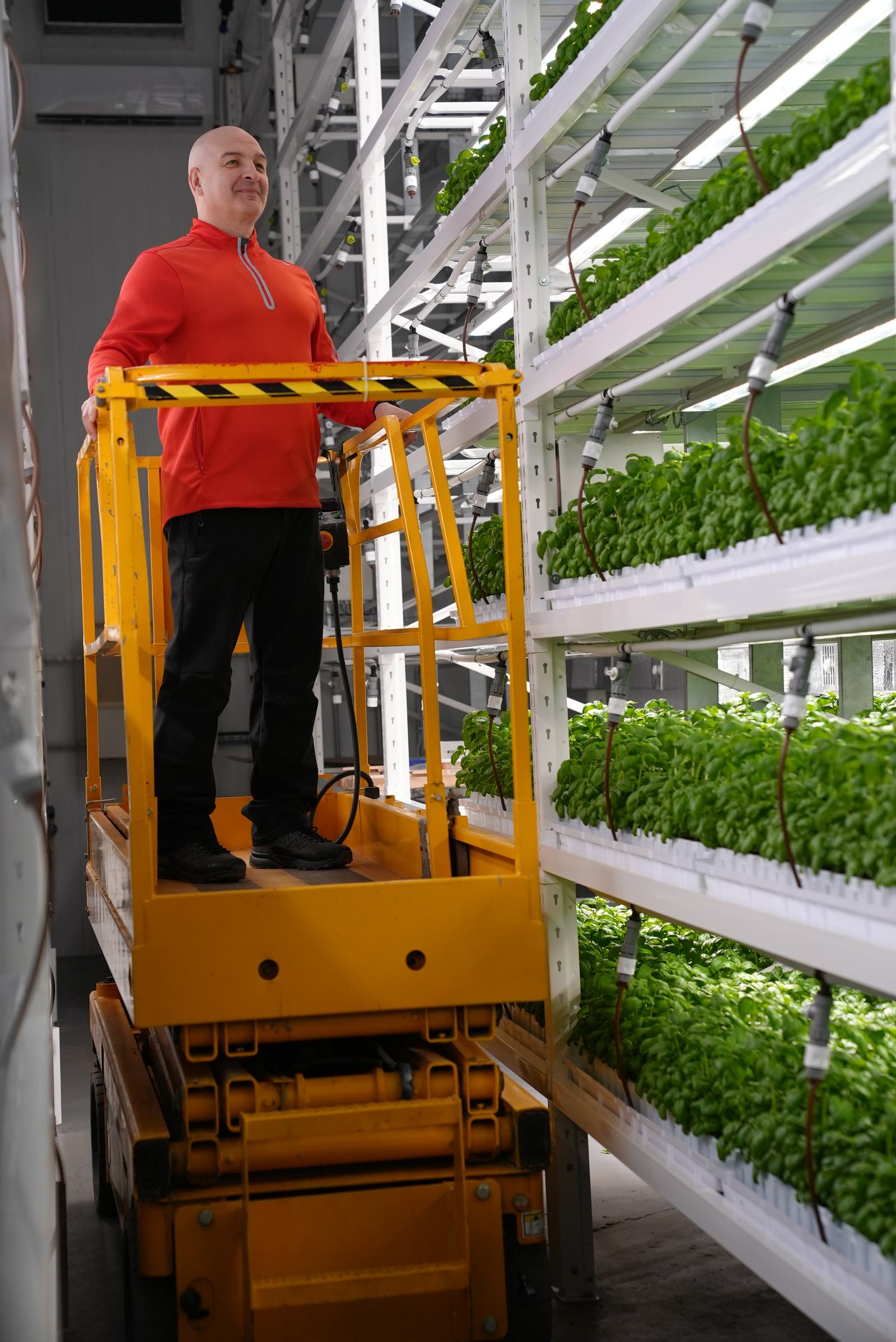 Співробітник Green Farms на роботі у модулі росту
